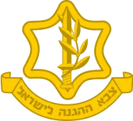 israel defense 
          forces